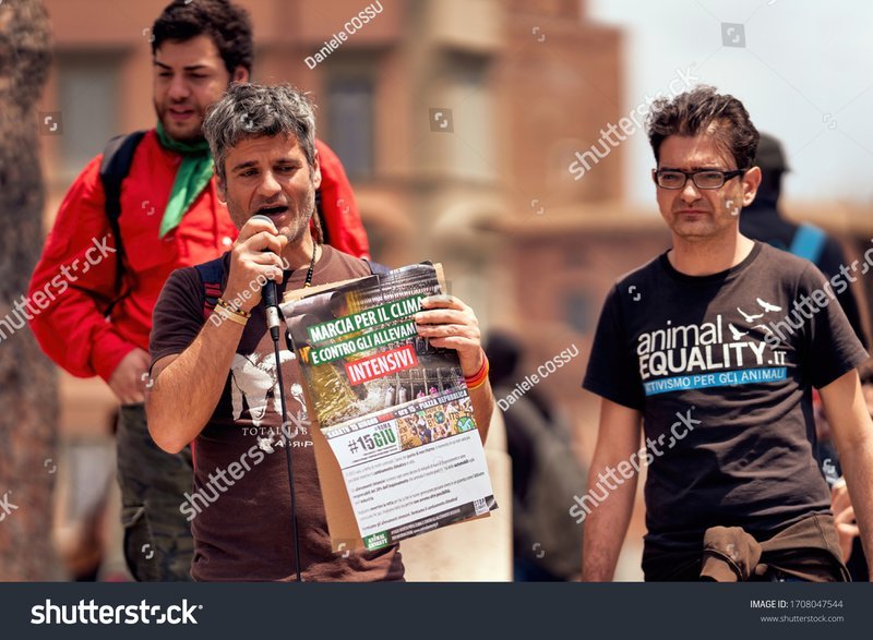 Italy - chicken road ufficiale