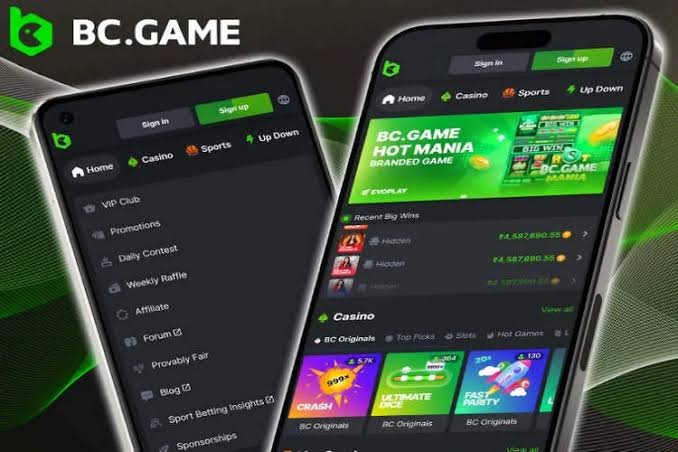 BC.Game Pakistan Registration A Step-by-Step Guide
